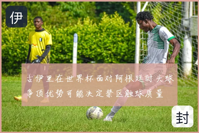 古伊里在世界杯面对阿根廷时头球争顶优势可能决定禁区触球质量