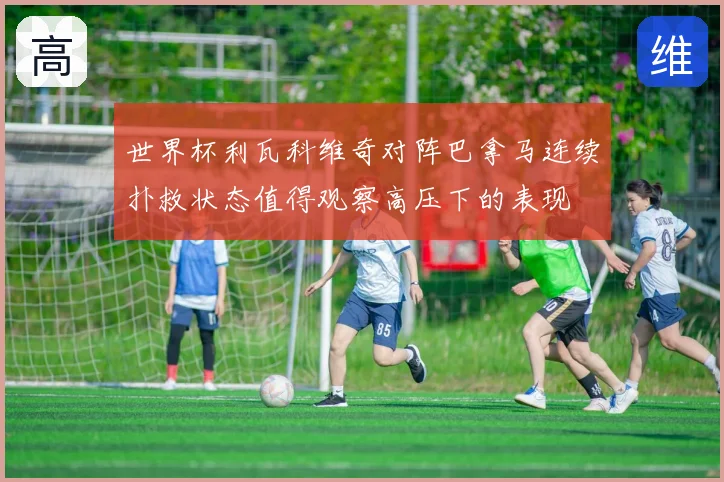 世界杯利瓦科维奇对阵巴拿马连续扑救状态值得观察高压下的表现
